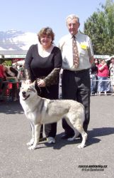 Filename=bob.jpg
Filesize=153KiB
Dimensions=600x927
Date added=May 21, 2007 bob.jpg