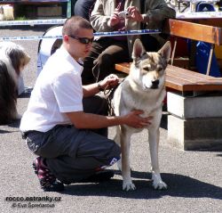 Filename=d_qeron_milos.jpg
Filesize=148KiB
Dimensions=600x574
Date added=May 23, 2007 d_qeron_milos.jpg