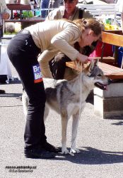 Filename=gaia_dakmat.jpg
Filesize=190KiB
Dimensions=600x861
Date added=May 21, 2007 gaia_dakmat.jpg