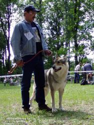 Filename=king.jpg
Filesize=199KiB
Dimensions=600x795
Date added=Aug 05, 2007 king.jpg