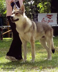 Filename=qeron3.jpg
Filesize=162KiB
Dimensions=600x739
Date added=Aug 05, 2007 qeron3.jpg