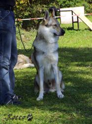 Filename=32_01brave_odin_sed.jpg
Filesize=132KiB
Dimensions=600x800
Date added=Oct 04, 2007 32_01brave_odin_sed.jpg