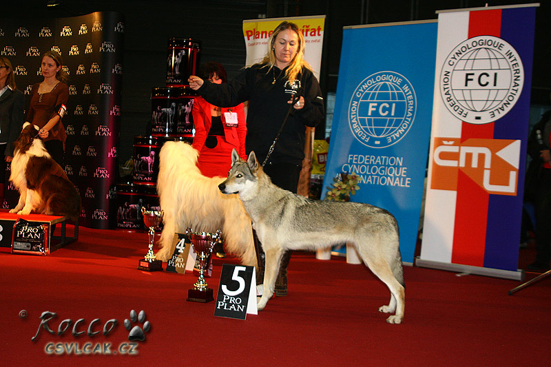 Xitta z Molu Es