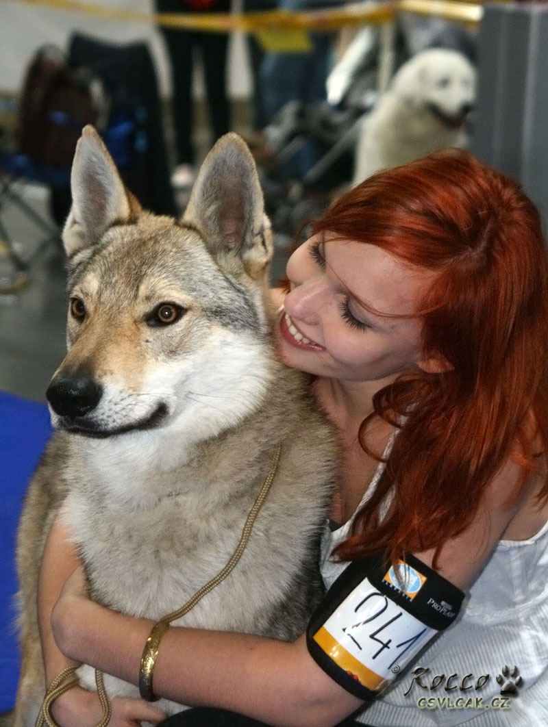 Crying Wolf  Gisotsu